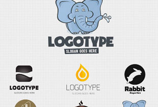 找可靠攻击网站服务器